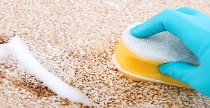 Наносим и смываем: как почистить палас в домашних условиях