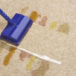 Как почистить ковер от грязи, пятен и запаха в домашних условиях?