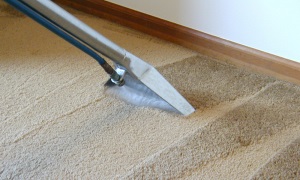 Действенные способы чистки ковролина в домашних условиях